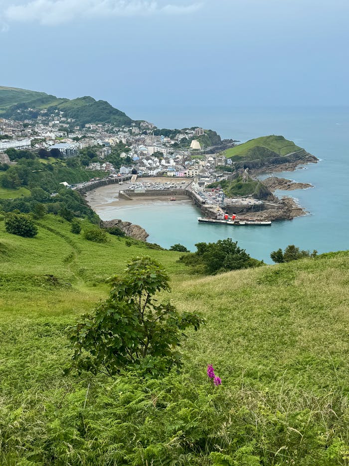 A stunning view of Ilfracombe harbor and coastline from the lush green hills of North Devon.